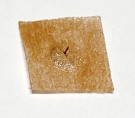 Derma needles thumbnail